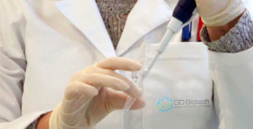 Laboratoire