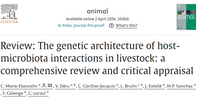 [Our latest publication 🎉]