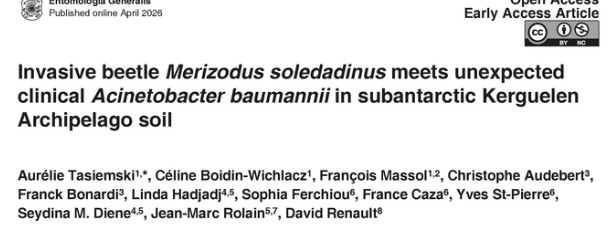 [Our latest publication 🎉]